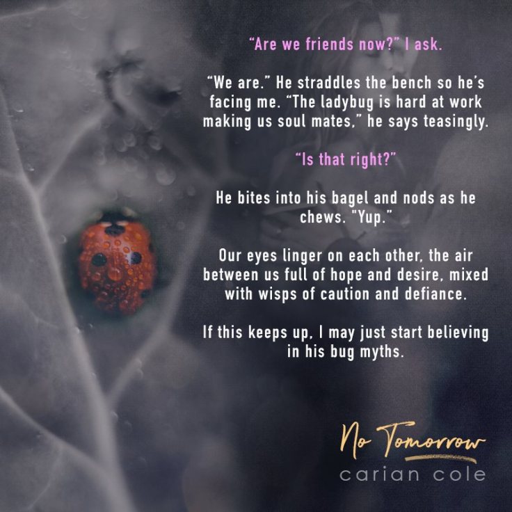 27332180_2065448253685471_2697681975657967693_n